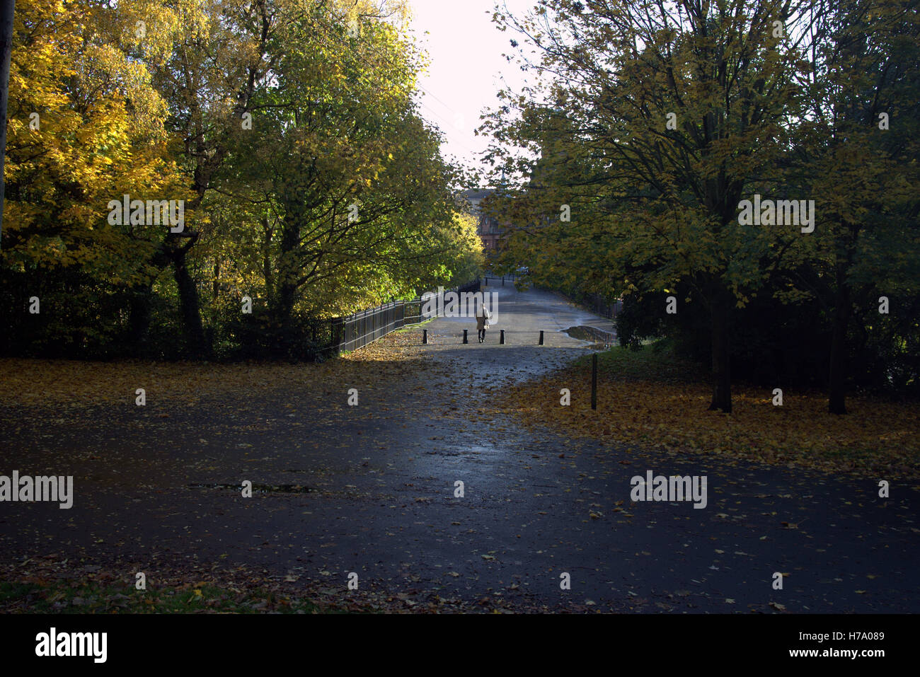 Glasgow Kelvingrove Park enthält die Universität und das Museum in der Parkanlage des wohlhabenden Westend der Stadt Stockfoto