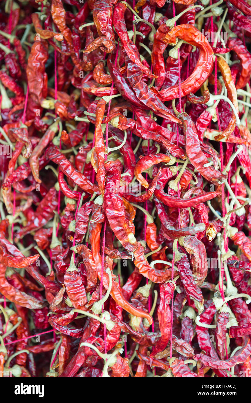 Nahaufnahme von Haufen von getrocknete rote Chilischoten auf dem Display am Markt in Indien Stockfoto