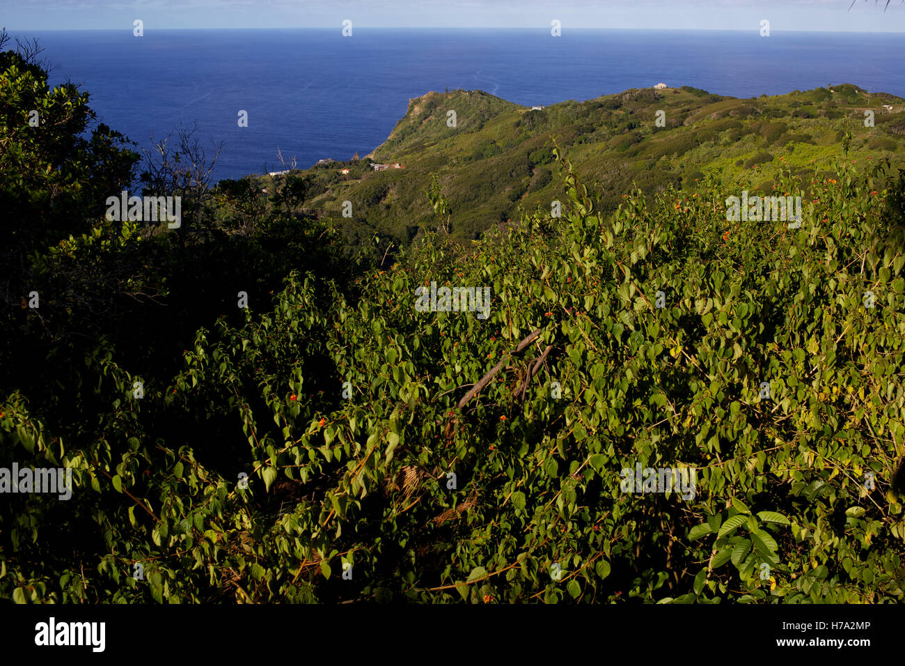 Pitcairn, Söhne von Meuterern! -04/06/2012 - Pitcairn / Pitcairn - Sightseeing auf das Tal und das kleine Dorf von Adamstown, Pitcairninseln - Olivier Goujon / Le Pictorium Stockfoto