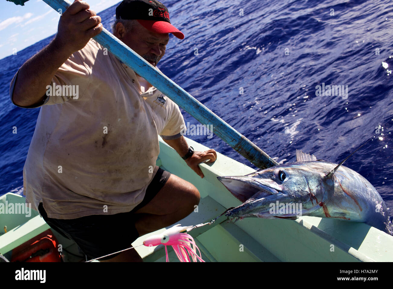 Pitcairn, Söhne von Meuterern! -01/06/2012 - Pitcairn / Pitcairn - Angeln einige Wahoos auf die Landung der Pitcairninseln - Olivier Goujon / Le Pictorium Stockfoto