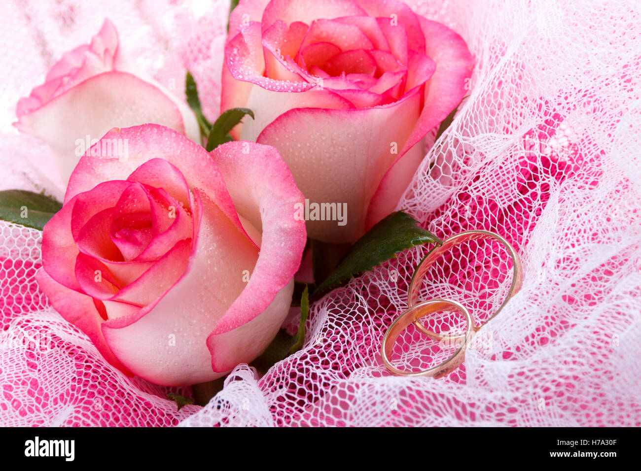 Nahaufnahme von rosa Rosen und zwei Trauringe. Makro Stockfoto