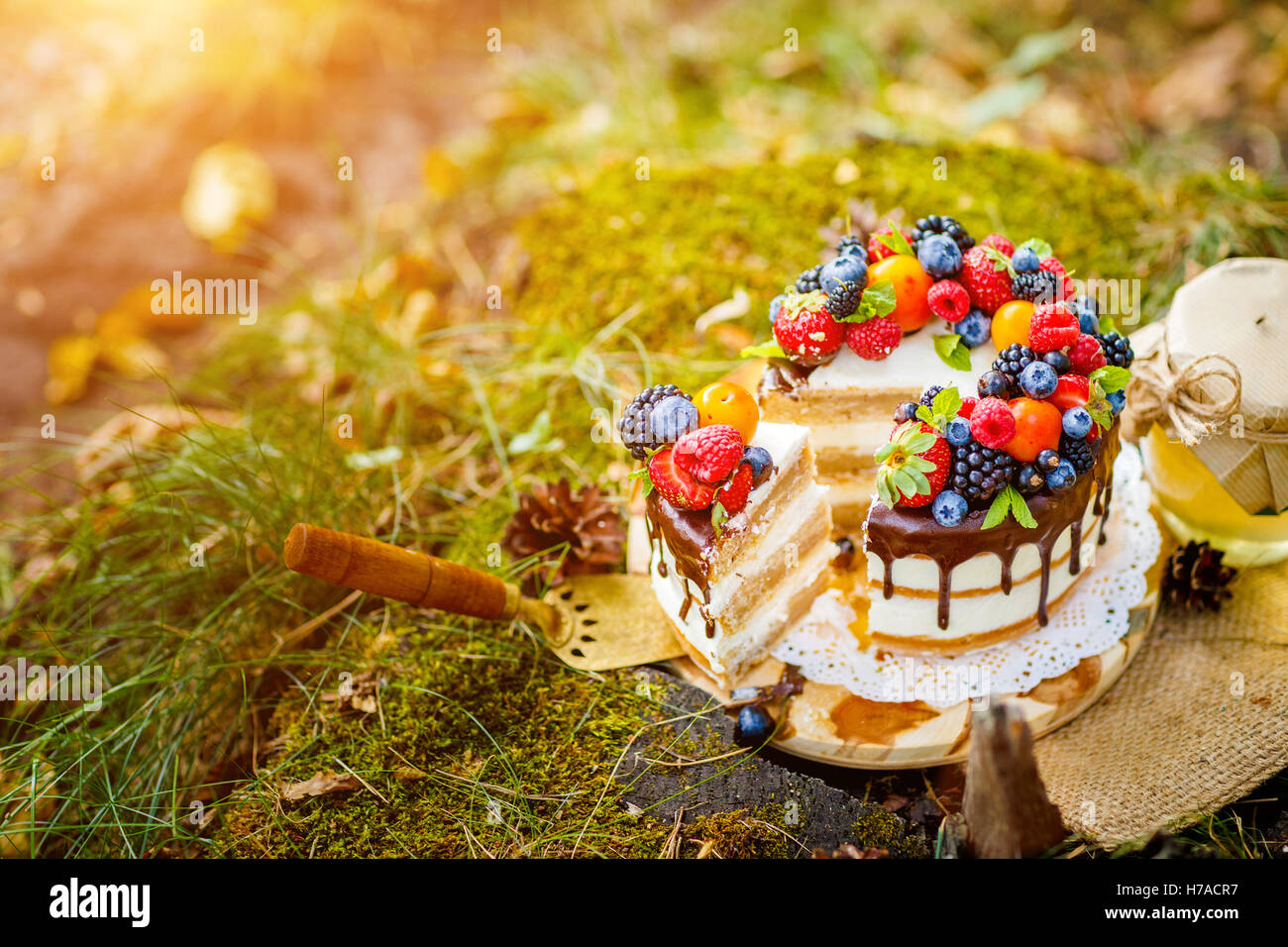 Sommer-Beeren-Kuchen Stockfoto