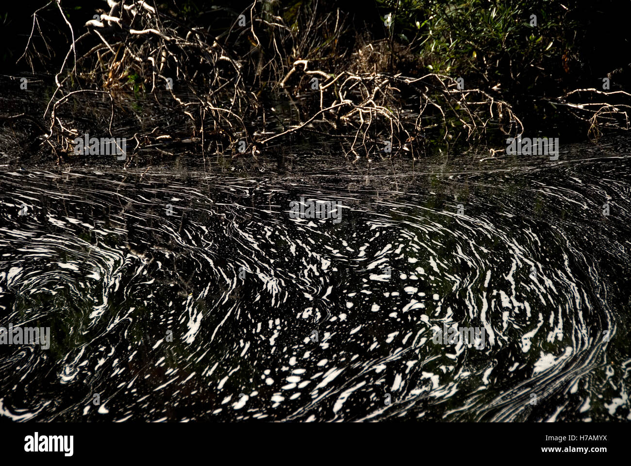 Auszug aus Wasser, Schaum, Bewegung und den Fluss Stockfoto