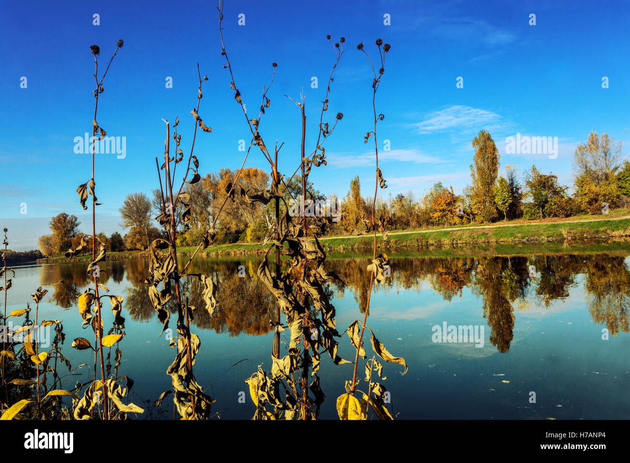 Herbstelbe, Mittelböhmen, Tschechien ruhige Flussfläche in der Herbstsonnenlandschaft Blick Herbst, Landschaft Stockfoto