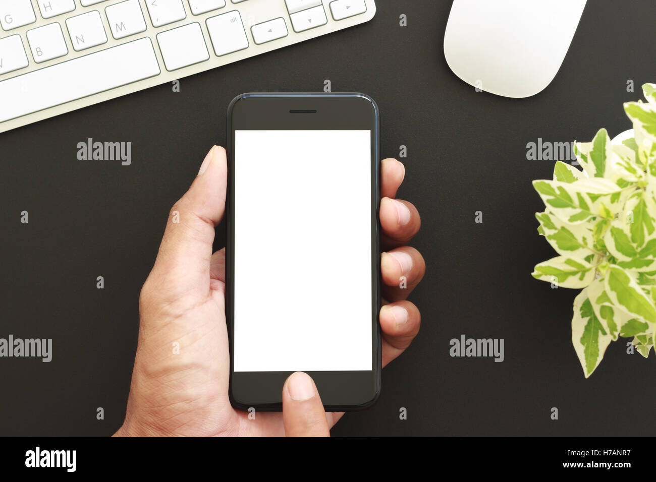 Hand halten weiße Telefon-Screen-Display, close-up Business Mann Touch auf neue Smartphone-moderner lifestyle Stockfoto