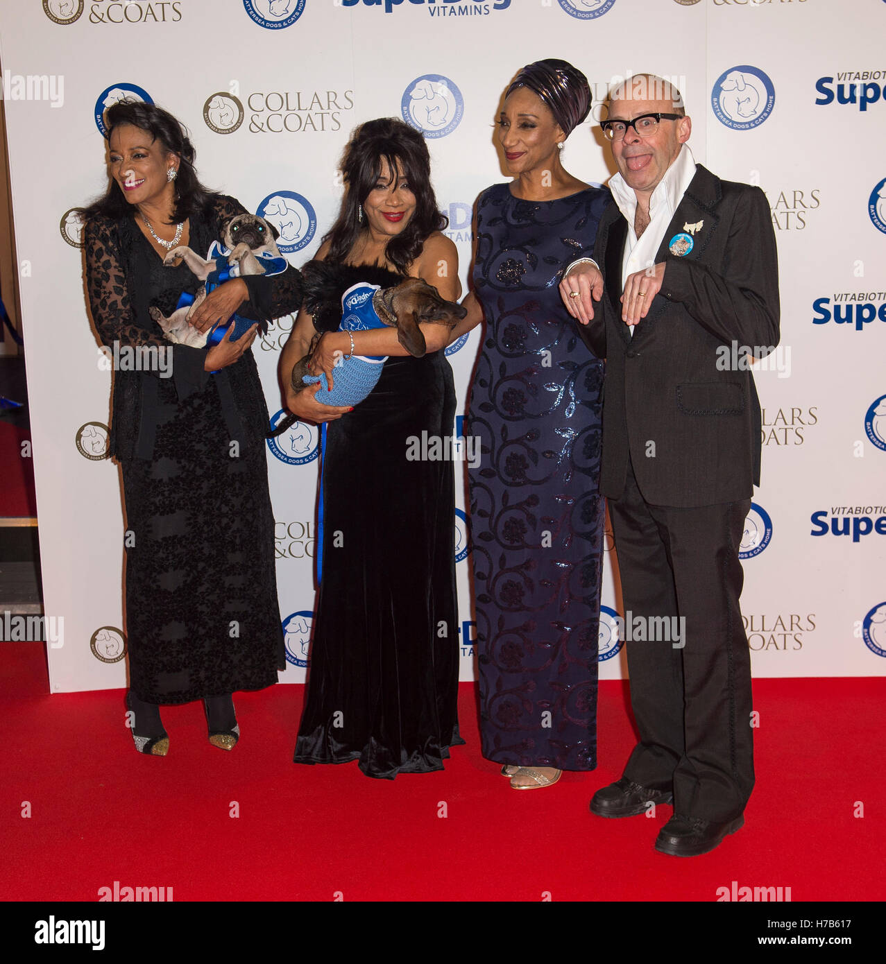 London, UK. 3. November 2016. Harry Hill und Sister Sledge besuchen Battersea Hunde und Katzen zuhause jährliche Kragen und Mäntel Gala am 3. November 2016 in London, Vereinigtes Königreich Credit: Gary Mitchell/Alamy Live News Stockfoto