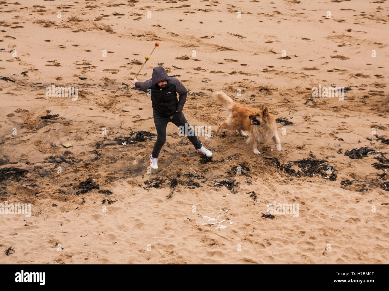 Ein Mann zu eine Ball Spielzeug für seinen Hund am Strand von Hartlepool im Nordosten Englands werfen Sie Stockfoto