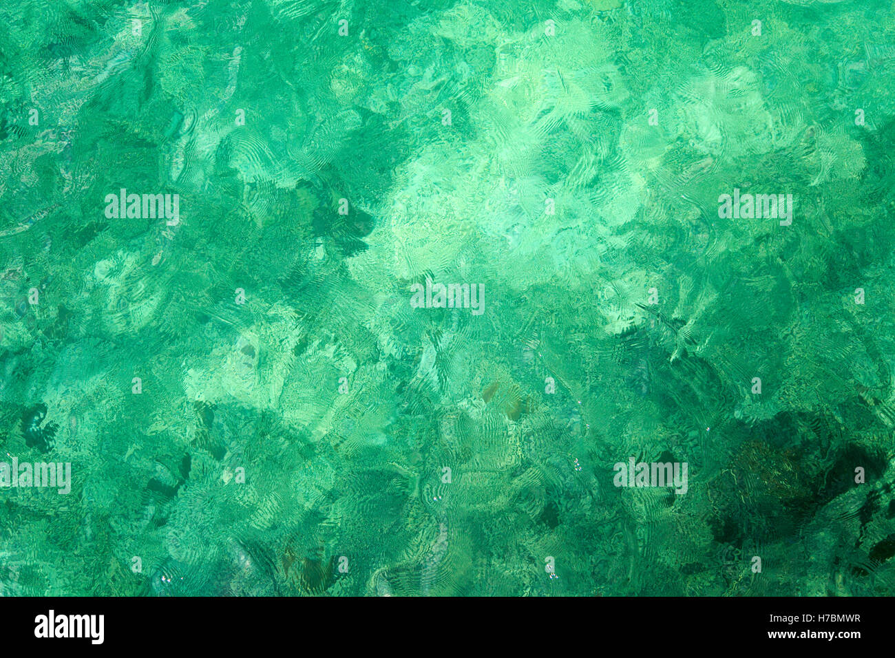 Grünes Wasser-Oberfläche in Koh Nangyuan Insel in Thailand Stockfoto
