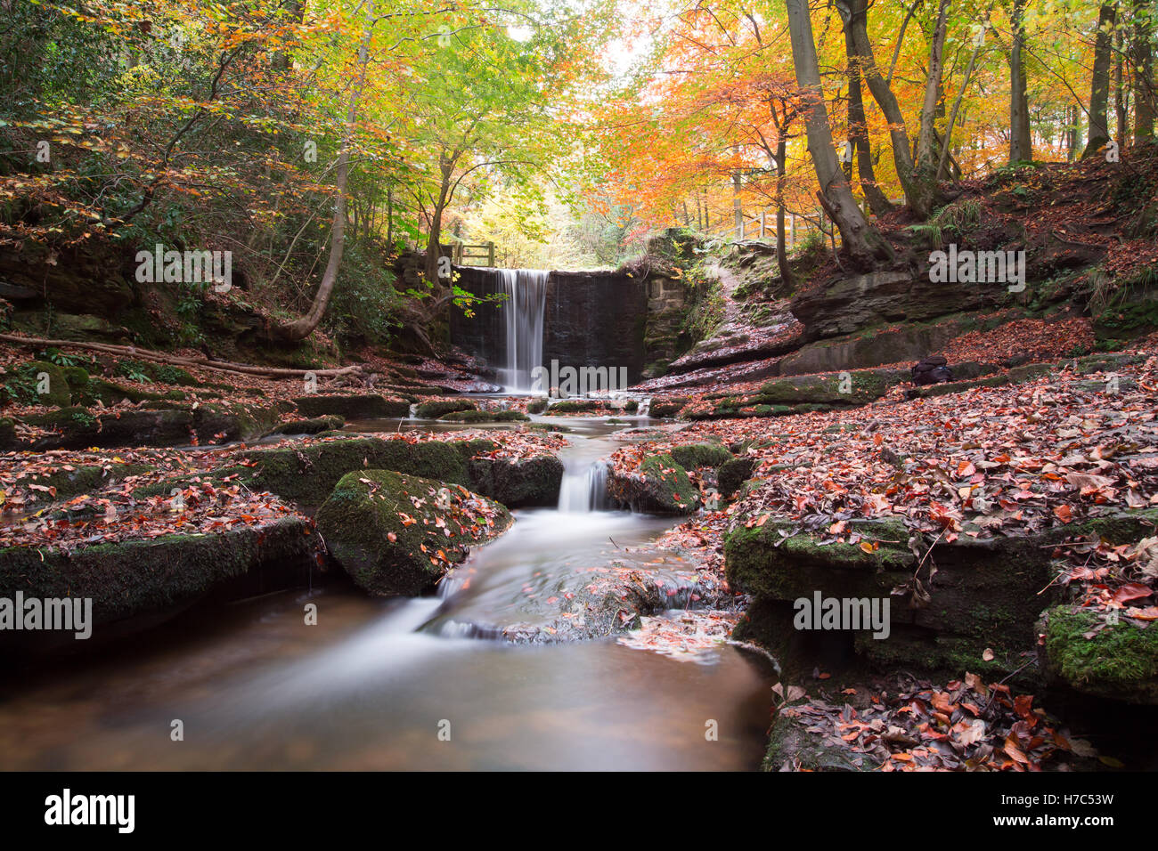 Nant Mill Wasserfall in der Nähe von Wrexham, Wales Stockfoto