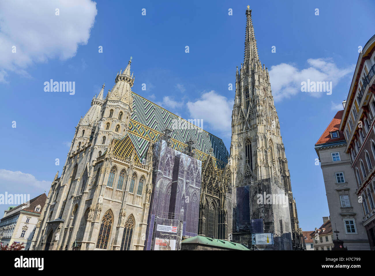 Der Stephansdom, Wien, Österreich Stockfoto