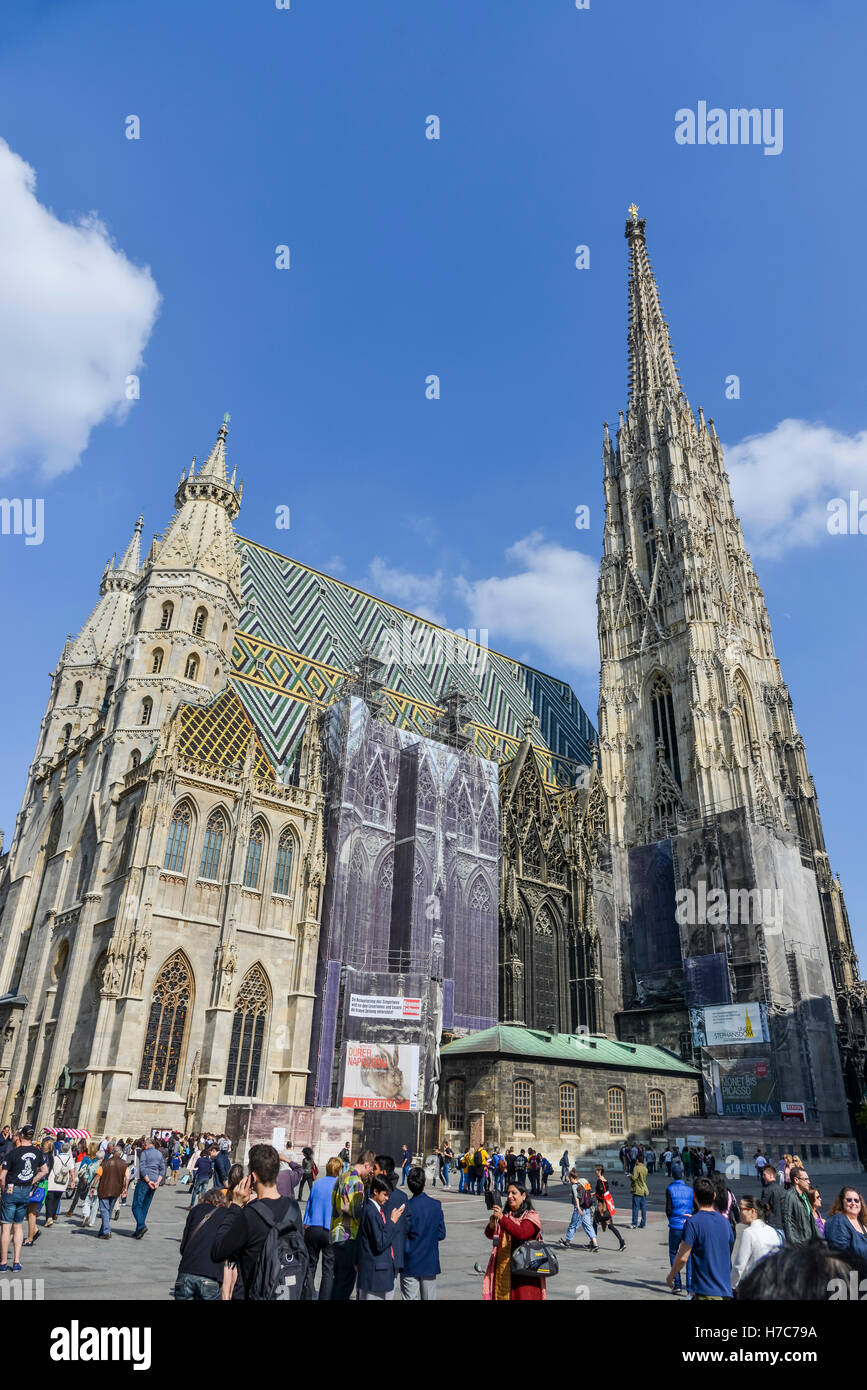 Der Stephansdom, Wien, Österreich Stockfoto