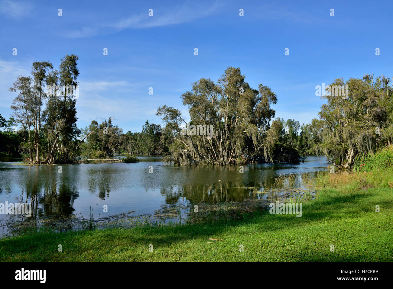 See in Lee County, Seen Regional Park, Fort Myers, Florida Stockfoto