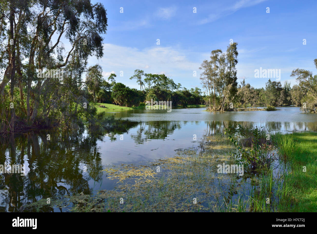See in Lee County, Seen Regional Park, Fort Myers, Florida Stockfoto