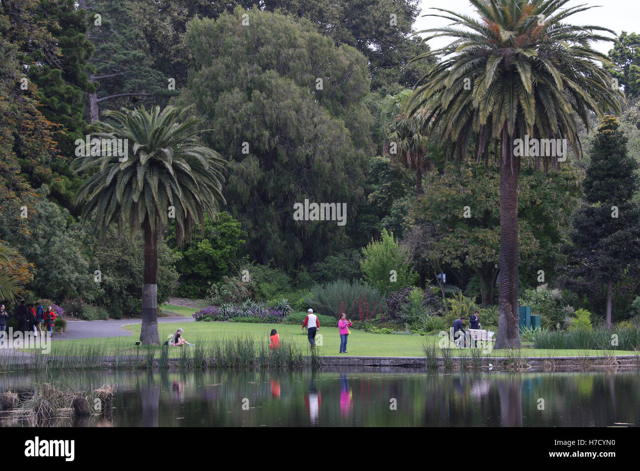 Zier-See in den Royal Botanic Gardens in Melbourne. Stockfoto