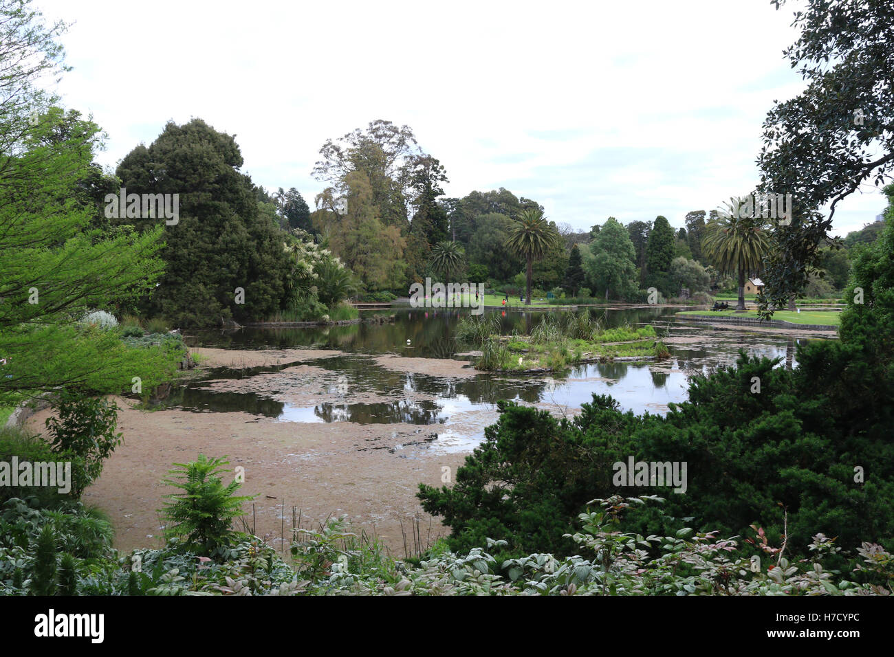 Zier-See in den Royal Botanic Gardens in Melbourne. Stockfoto
