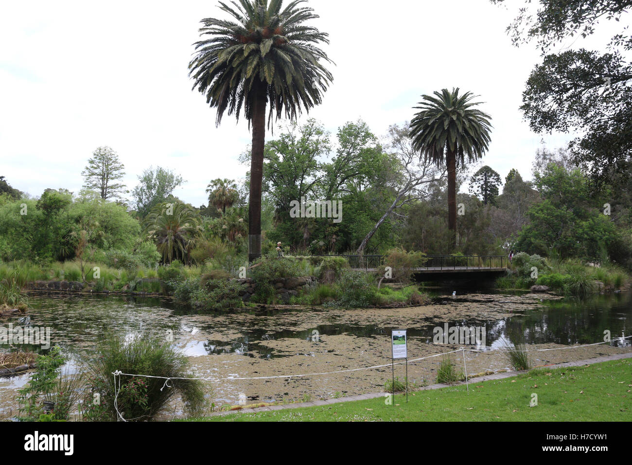 Zier-See in den Royal Botanic Gardens in Melbourne. Stockfoto