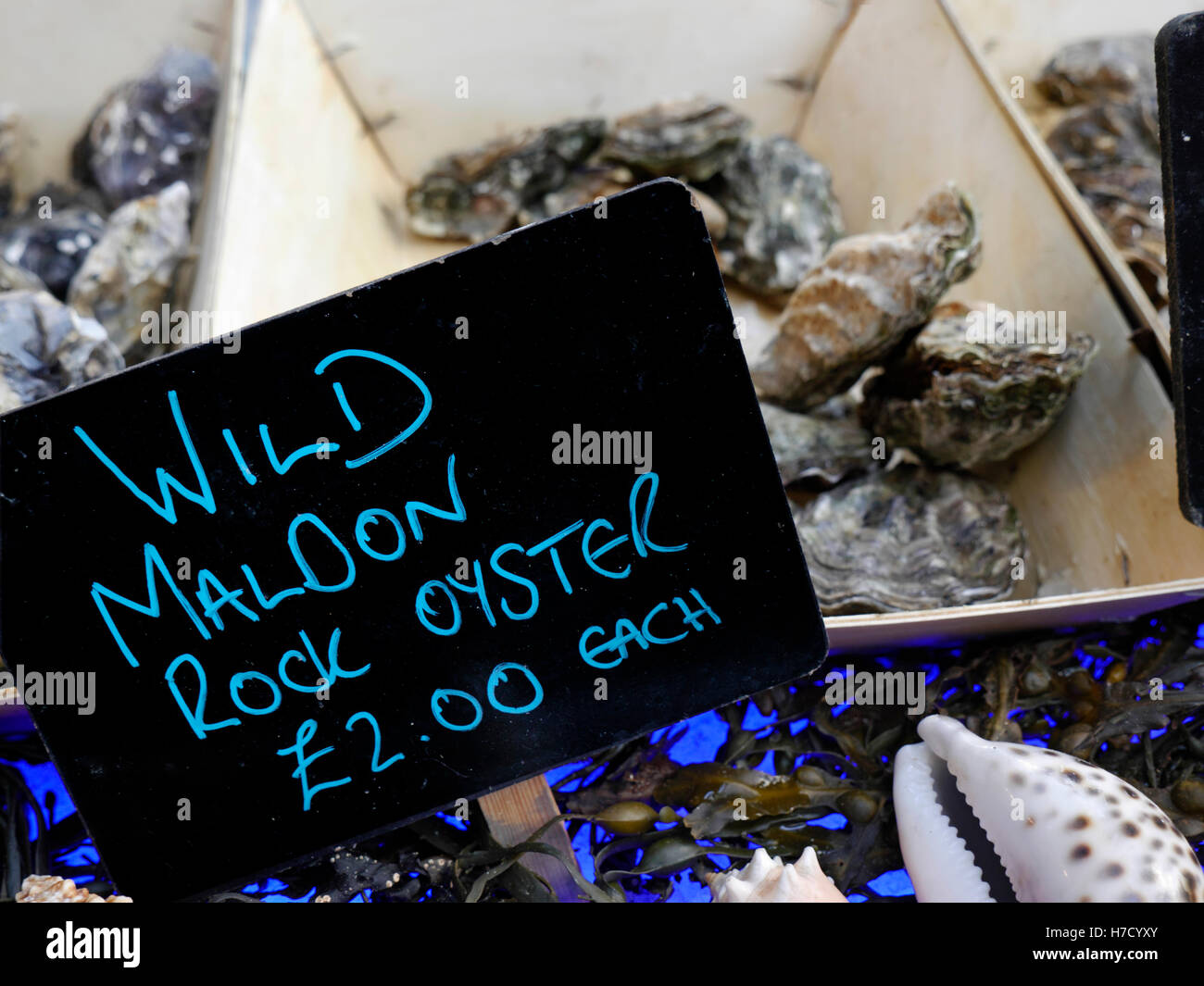 Wild Maldon Rock Austern für £2 jede Borough Market Fischmarkt Southwark London UK Stockfoto