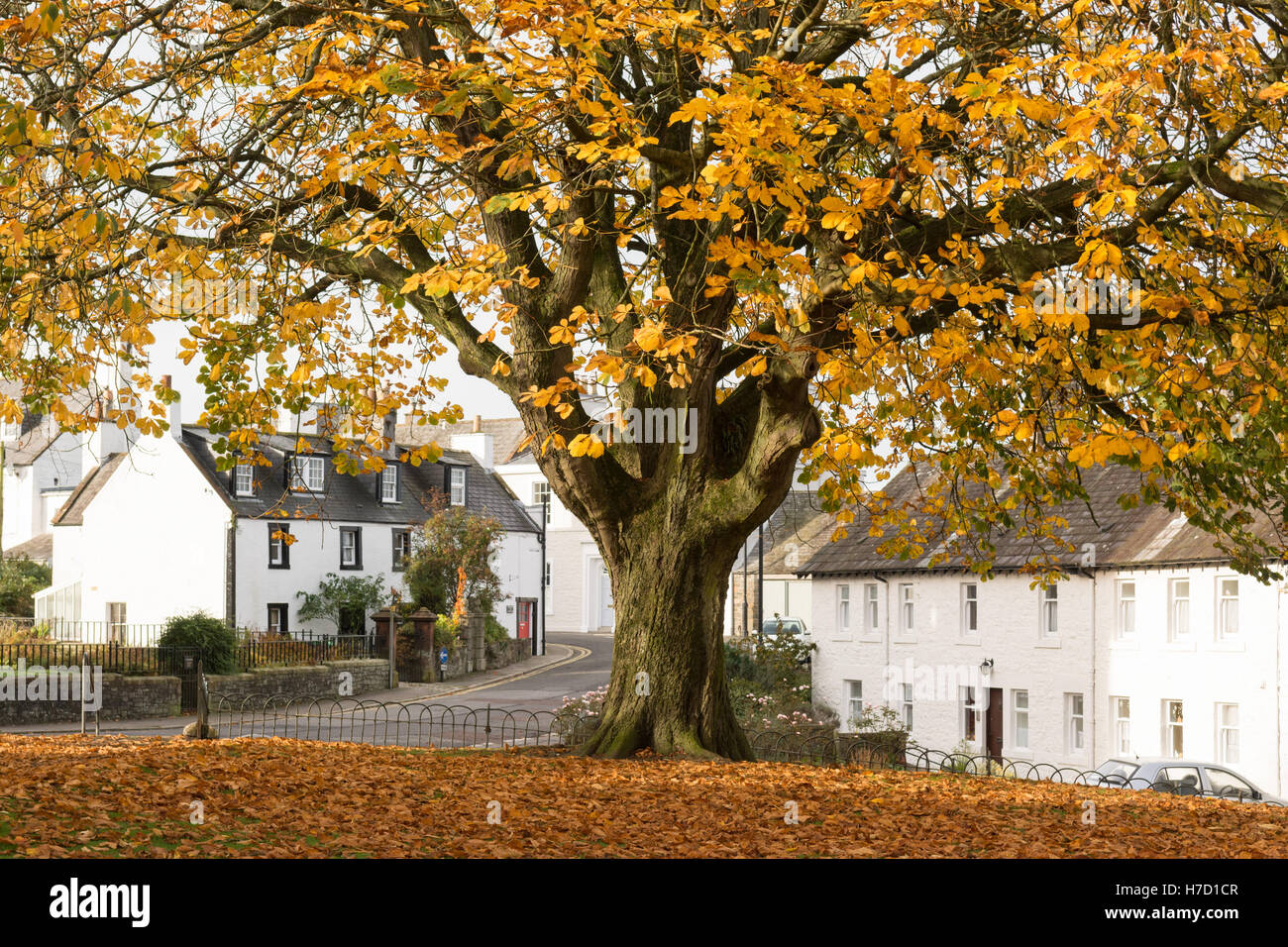 Kirkcudbright im Herbst, Dumfries and Galloway, Schottland, Großbritannien Stockfoto