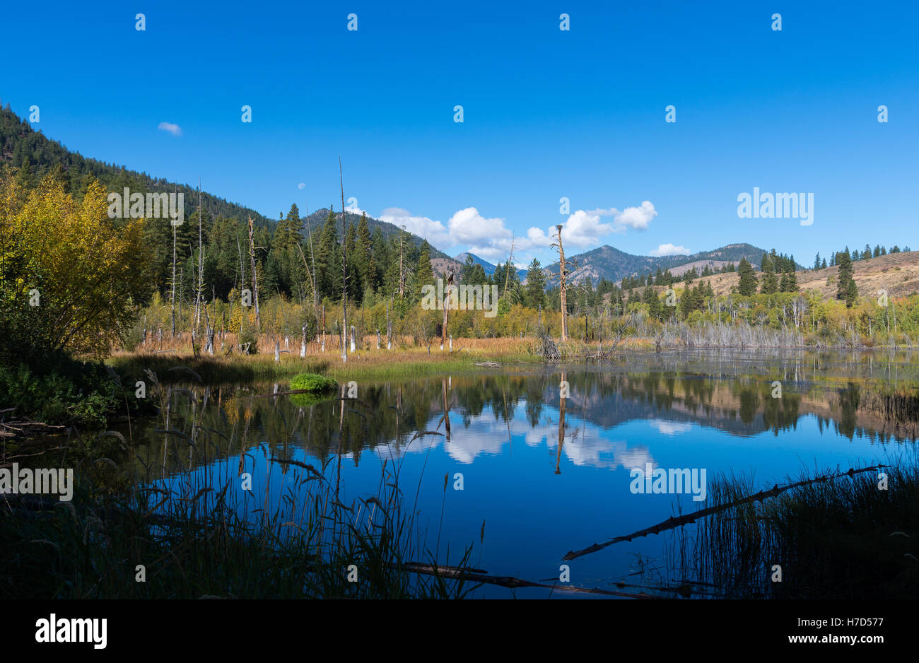 Berge und Bäume spiegeln sich in einem See in North Cascades. Washington, USA. Stockfoto