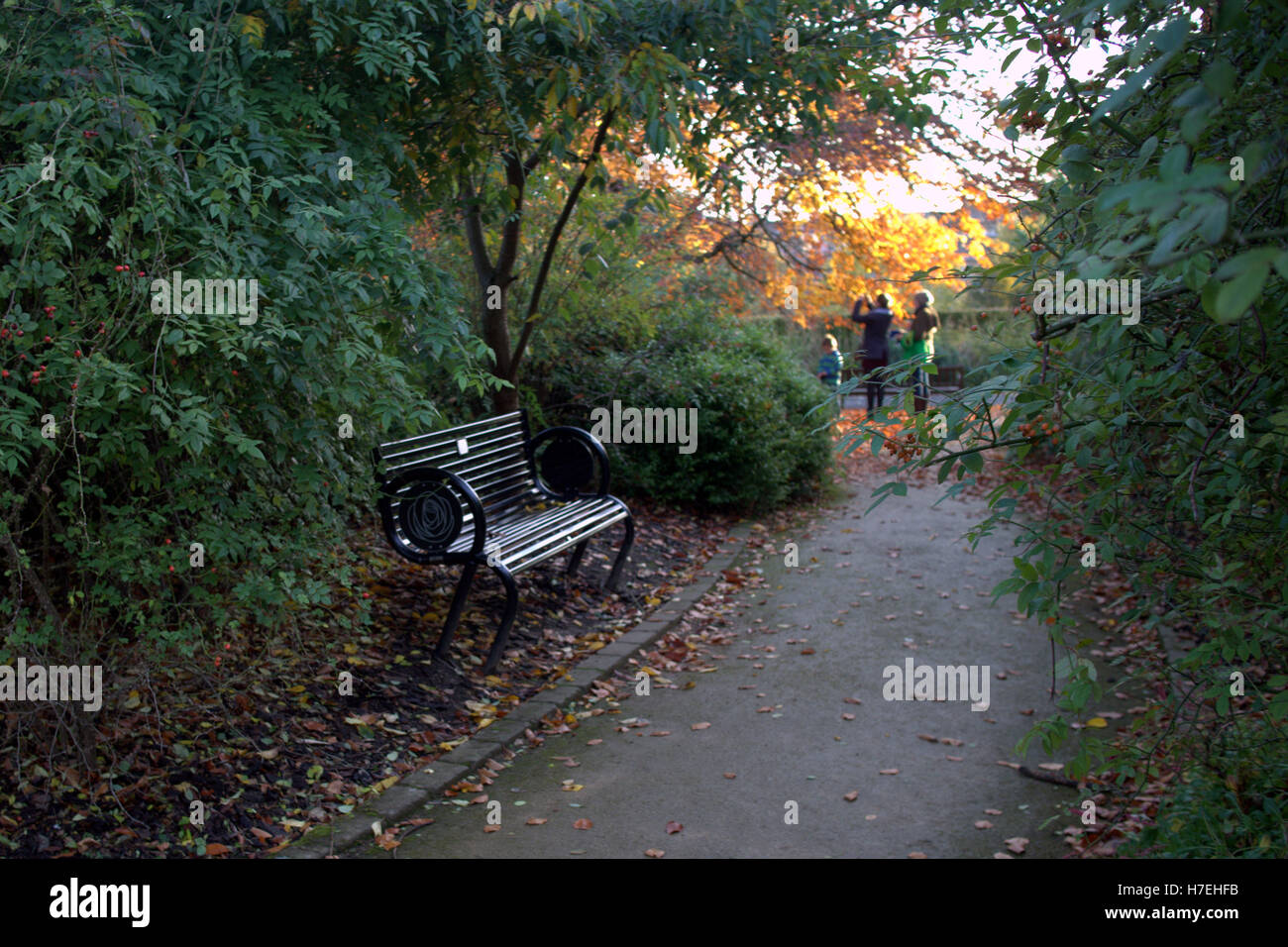 Botanische Gärten inmitten einer Parklandschaft im Westend von Glasgow Stockfoto