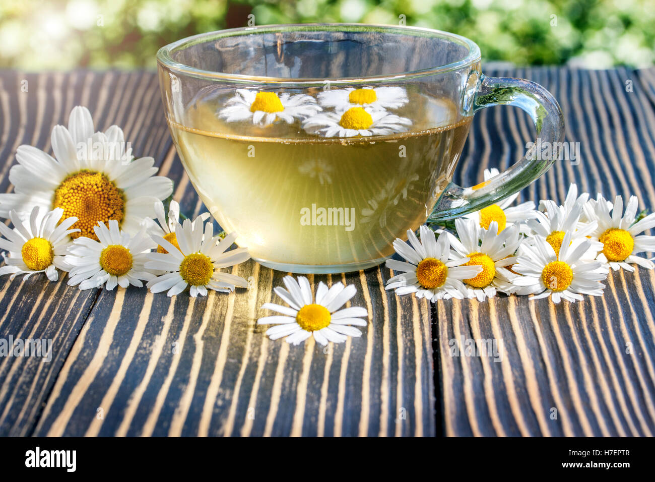 Kräutertee mit Kamille auf einem hölzernen Hintergrund Stockfoto