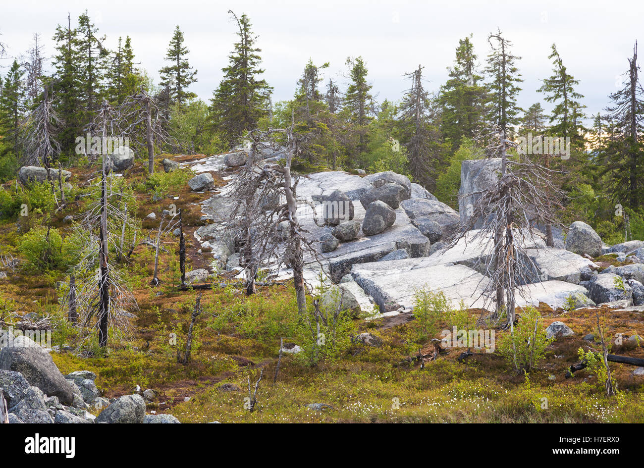Landschaft Gebirge von Vottovaara in Karelien, Russland Stockfoto