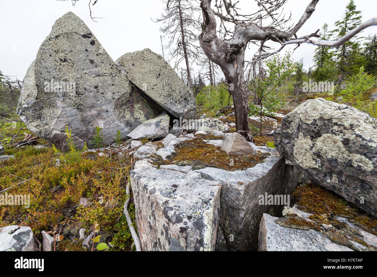 In Karelien (Russland) am Berg von den Vottovaara Stein gebrochen Stockfoto