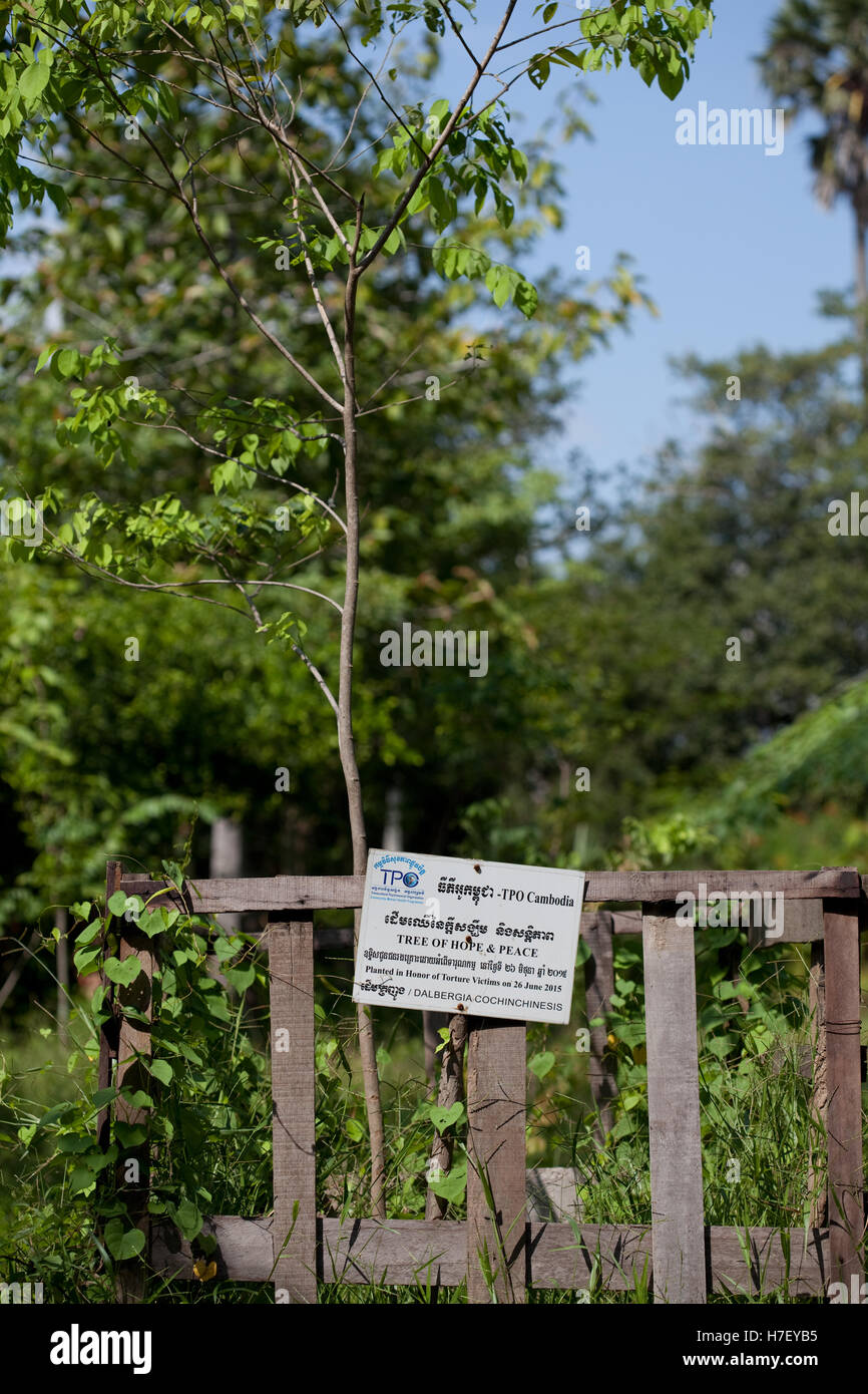 Frieden-Baum an Choeung Ek die Killing Fields des Genozids in Kambodscha Stockfoto