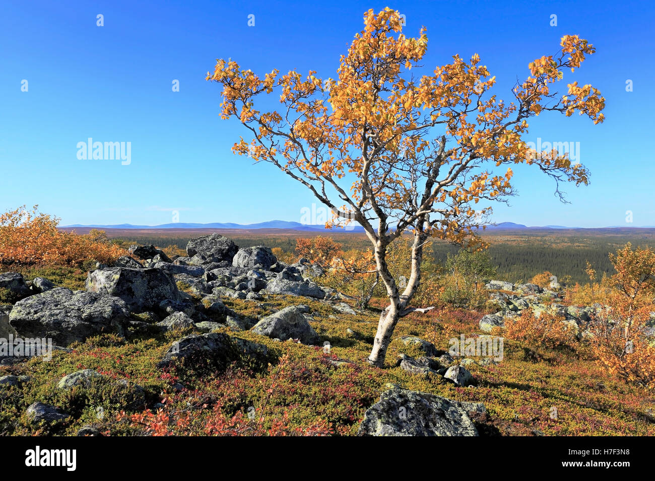 Herbst in den Bergen Stockfoto