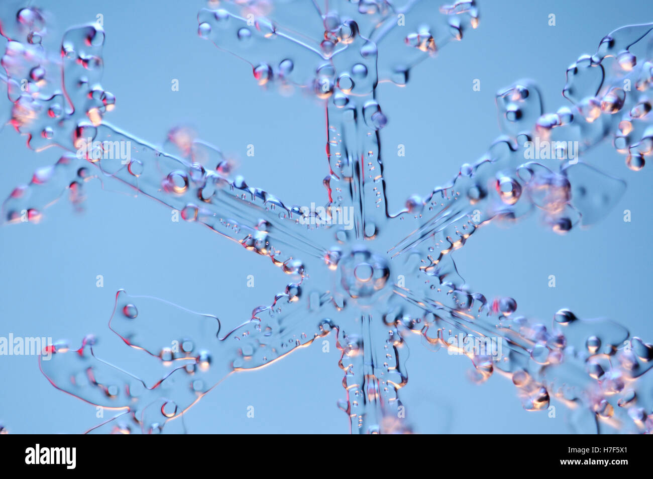 Schneeflocke unter Mikroskop vergrößert Stockfoto