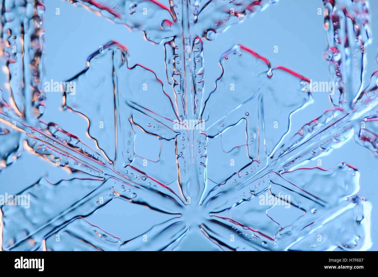 Schneeflocke unter Mikroskop vergrößert Stockfoto