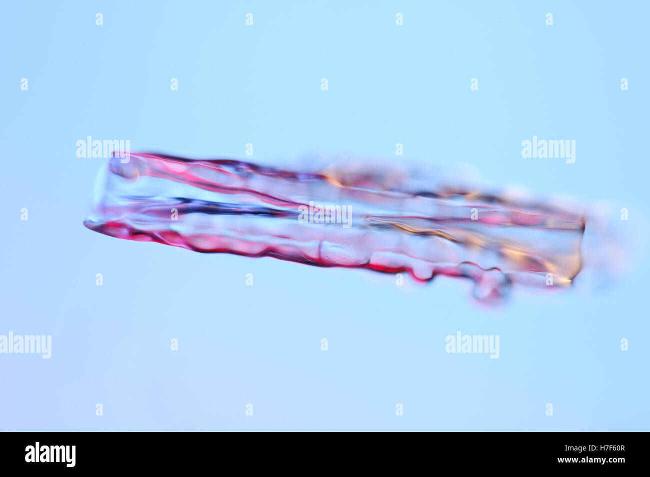 Schneeflocke unter Mikroskop vergrößert Stockfoto