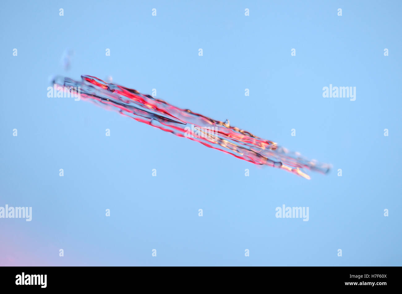 Schneeflocke unter Mikroskop vergrößert Stockfoto