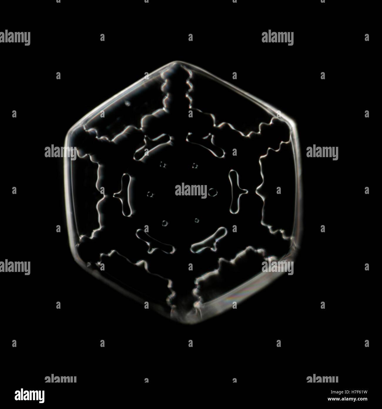 Schneeflocke unter Mikroskop vergrößert Stockfoto