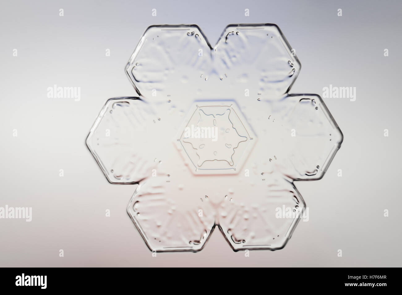 Schneeflocke unter Mikroskop vergrößert Stockfoto