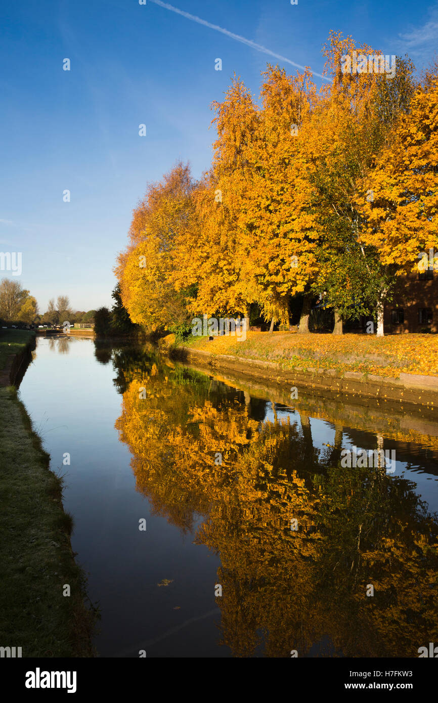 Großbritannien, England, Cheshire, Sandbach, Malkin Bank, herbstliche Bäume aus Trent und Mersey Kanal im Herbst Stockfoto