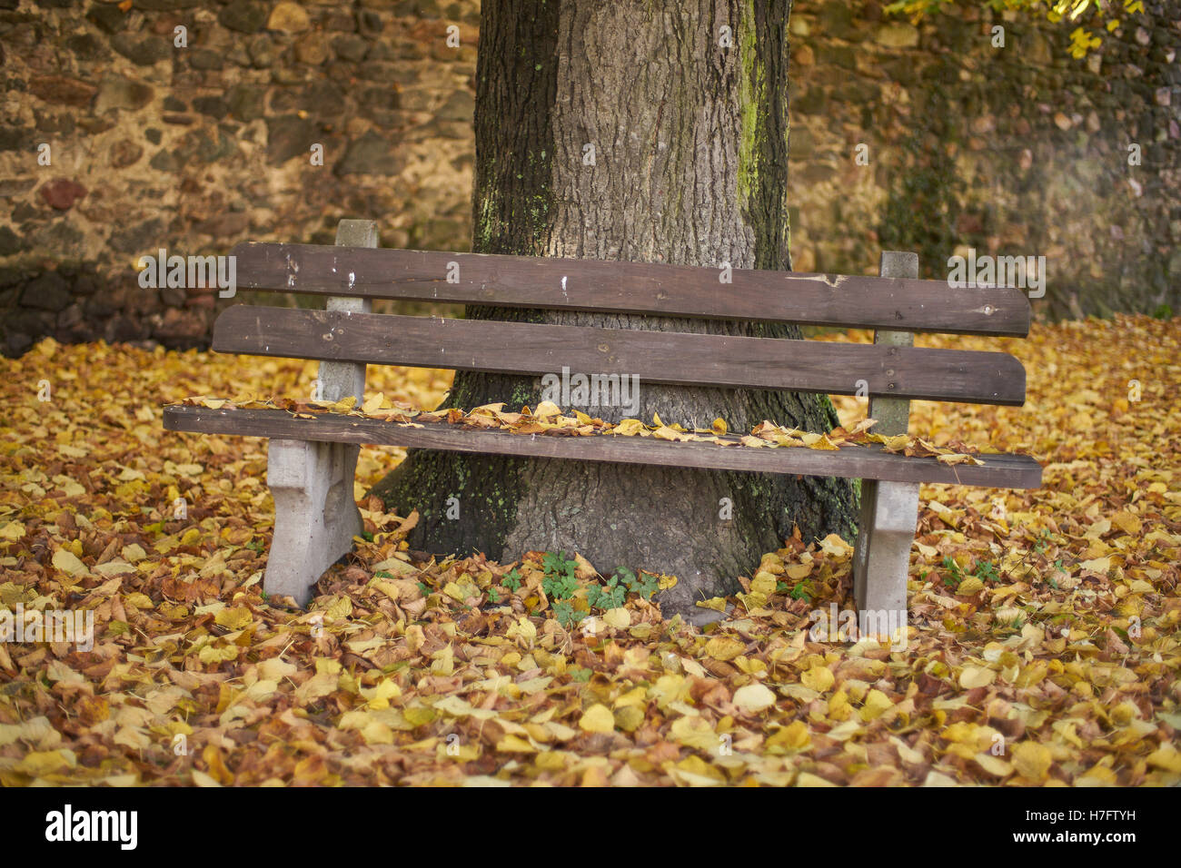 Bank, basierend auf einem Baumstamm unter den gefallenen Herbst Blätter Stockfoto