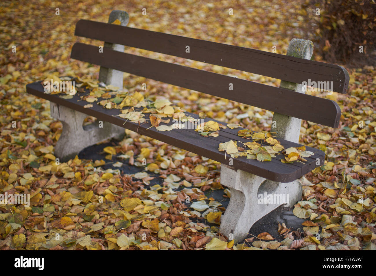 Bank von und unter Herbst Laub bedeckt Stockfoto