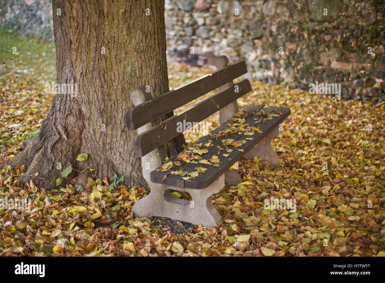 Bank, basierend auf einem Baumstamm unter den gefallenen Herbst Blätter Stockfoto