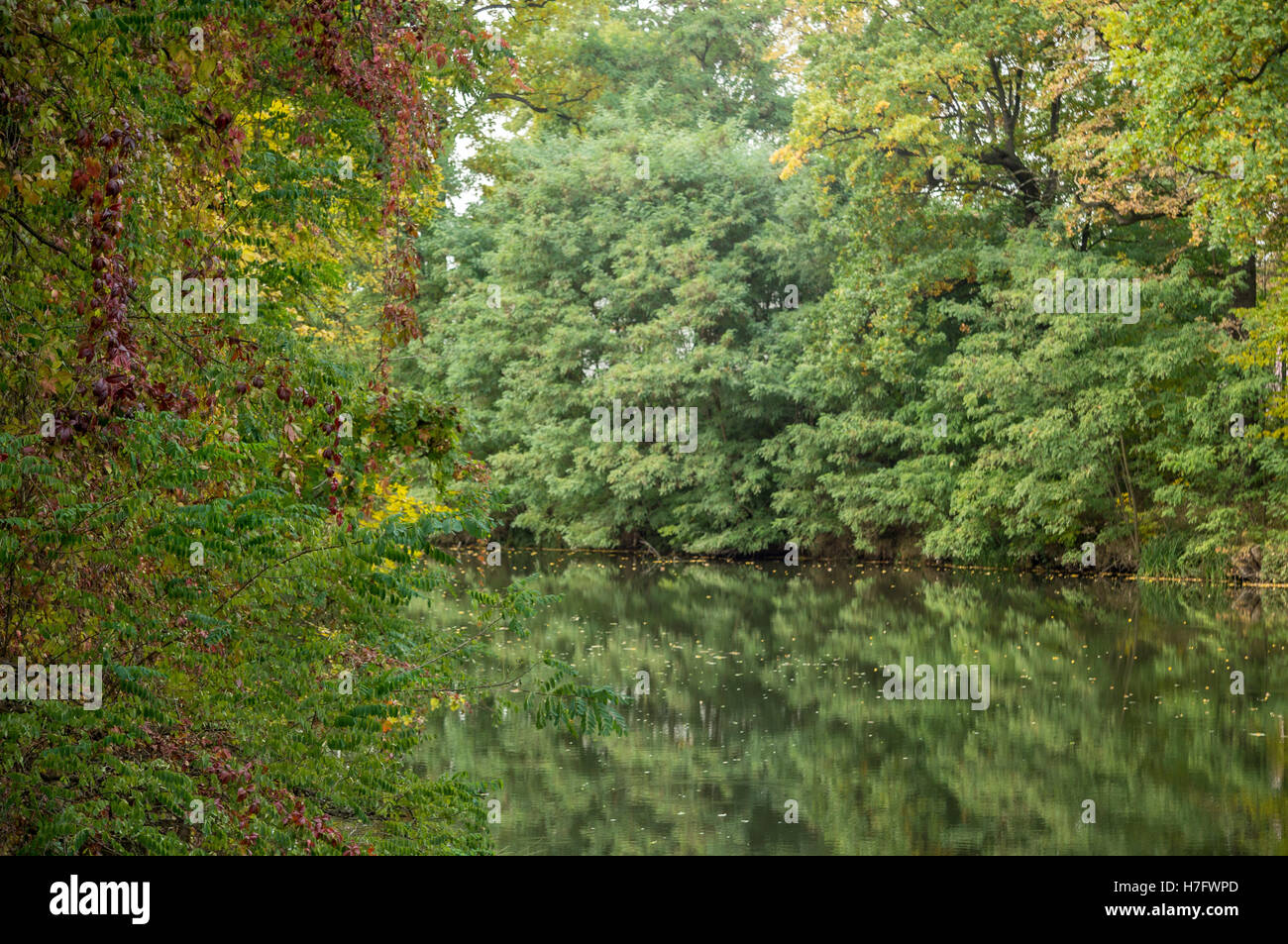 Herbstlichen Wald und ruhigen See Ufer wechselnde Farben Stockfoto