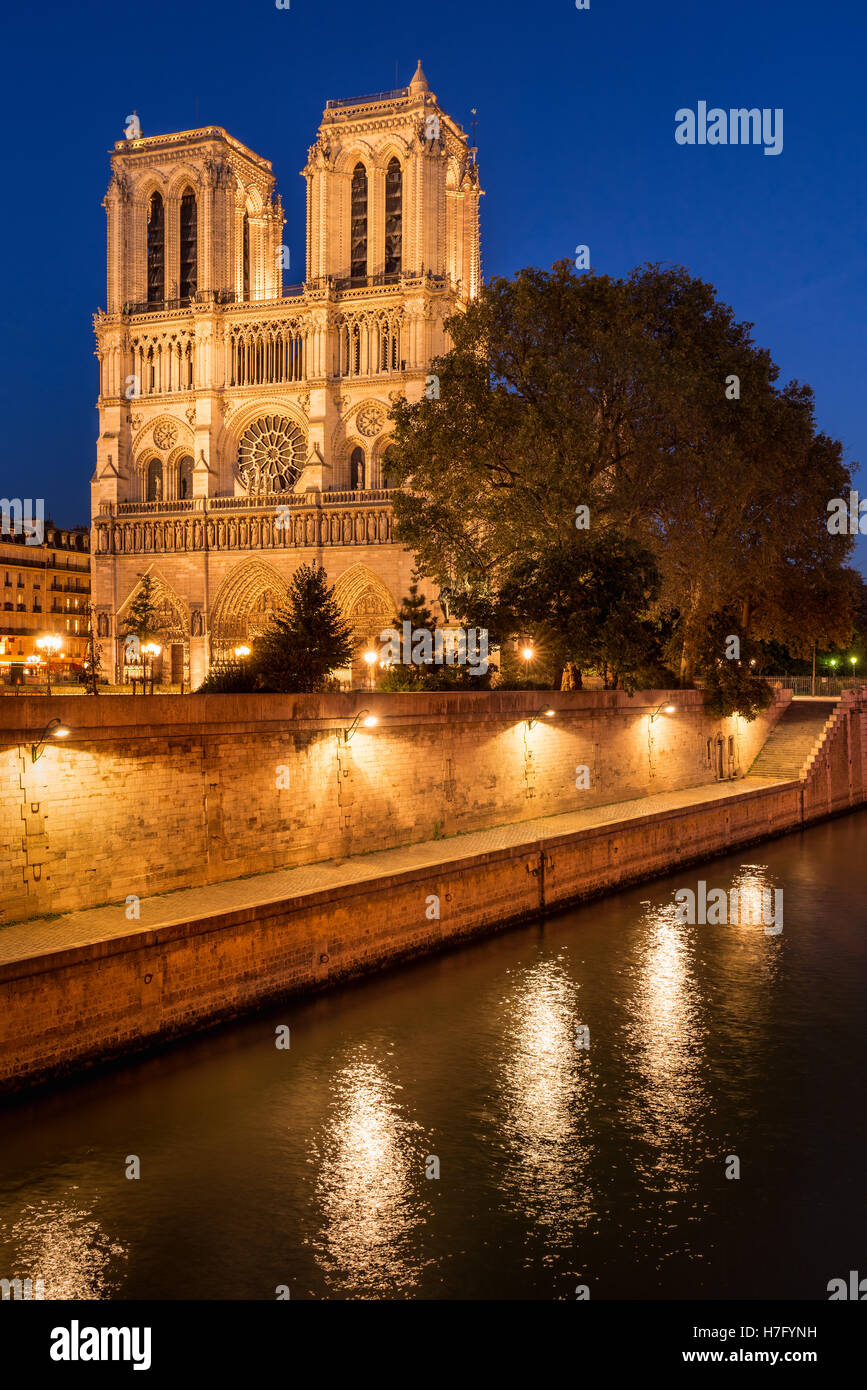 Kathedrale Notre Dame de Paris beleuchtet in der Dämmerung mit dem Seineufer auf Île De La Cité. Paris, Frankreich Stockfoto