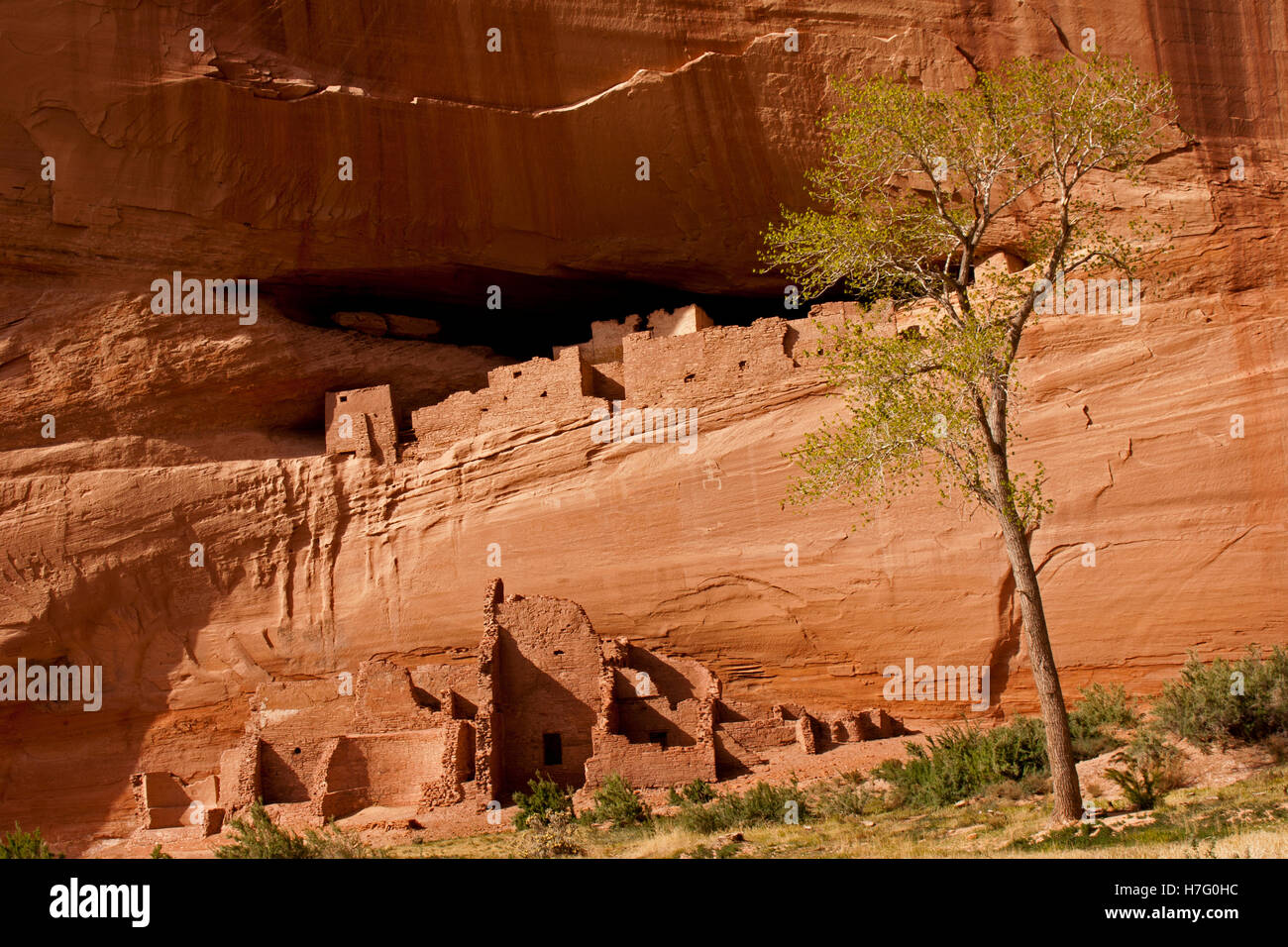 White House Canyon Ruinen die alten Anasazi-Indianer, die diese Schluchten bewohnt.  Zeigt Ruinen in der Seite der Klippen gebaut Stockfoto