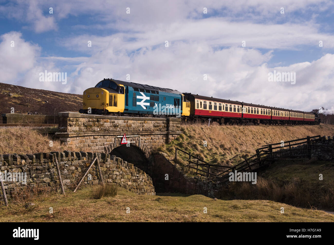 BR-Klasse 37 'Co-Co' Nr. 37264 Diesel locomotive Zug Reisen auf den Spuren der North Yorkshire Moors Railway, GB, UK. Stockfoto