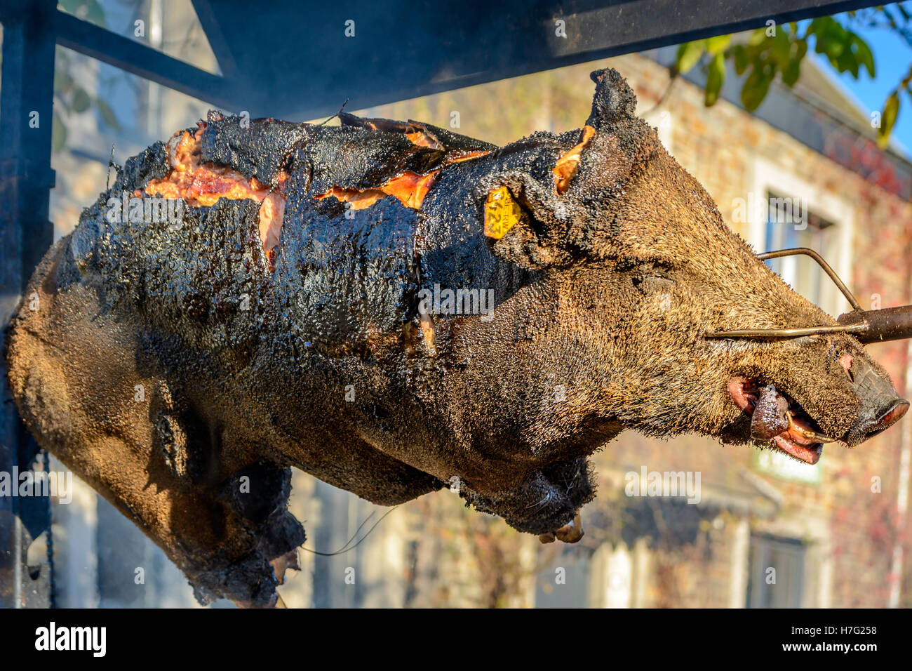 Wildschwein am Spieß grillen Stockfotografie - Alamy