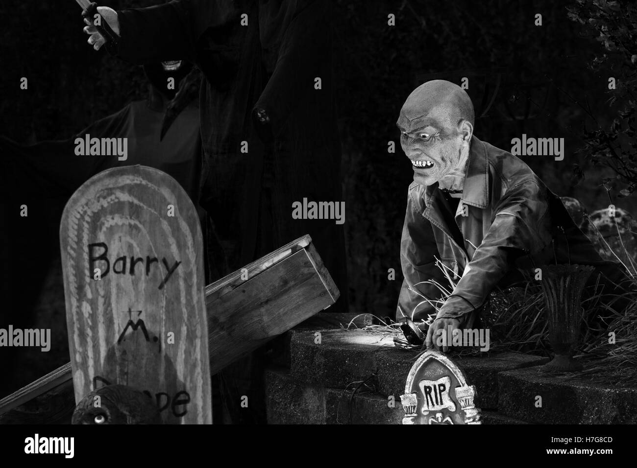 Mann Zombie entsteht. Halloween-Dekorationen. Halloween-Hof-Anzeige. Linke Seite Barry Grabstein hat Auge blickte von unten, ein Stockfoto