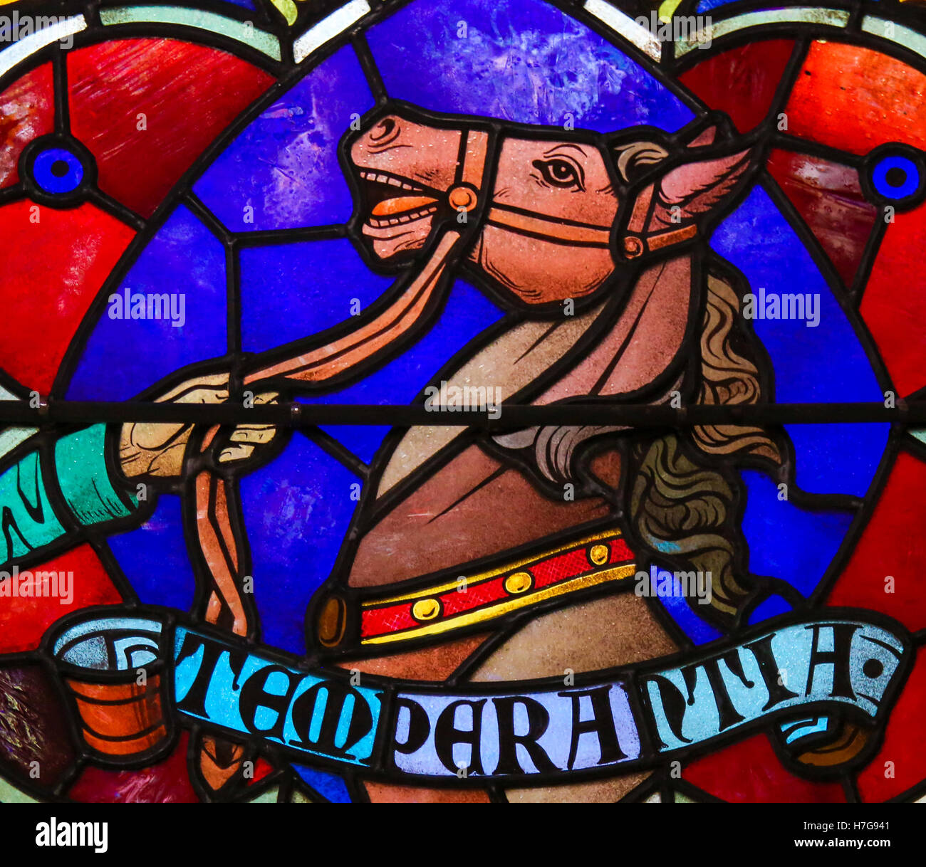 Glasmalerei-Fenster repräsentieren die Kardinal Tugend Temperance, symbolisiert durch Pferd, in der Kathedrale von Saint Rumbold in Mech Stockfoto