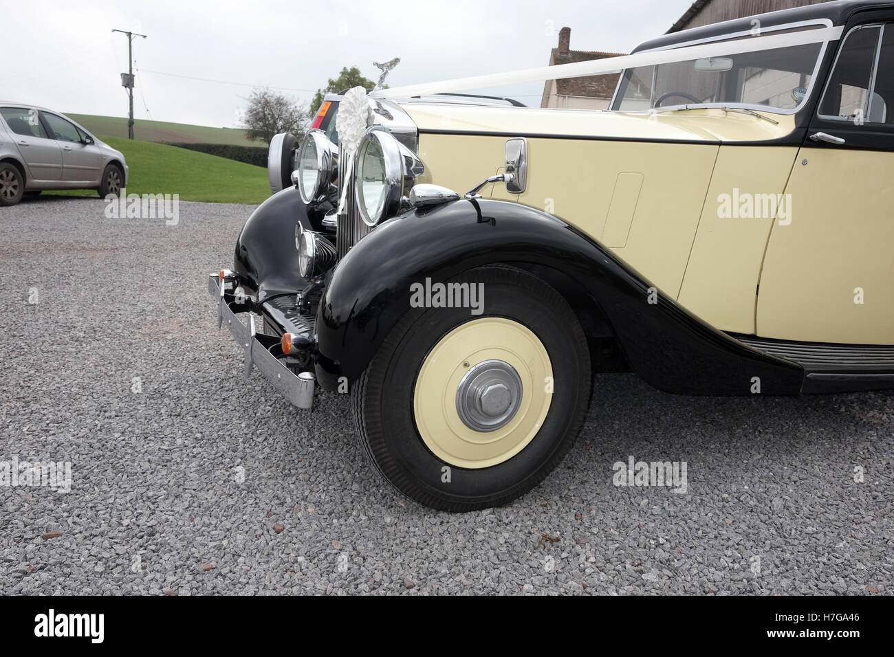 26. Oktober 2016 - gelbe Rolls-Royce Hochzeit Oldtimer komplett mit Bändern auf einer Hochzeit in Somerset Stockfoto