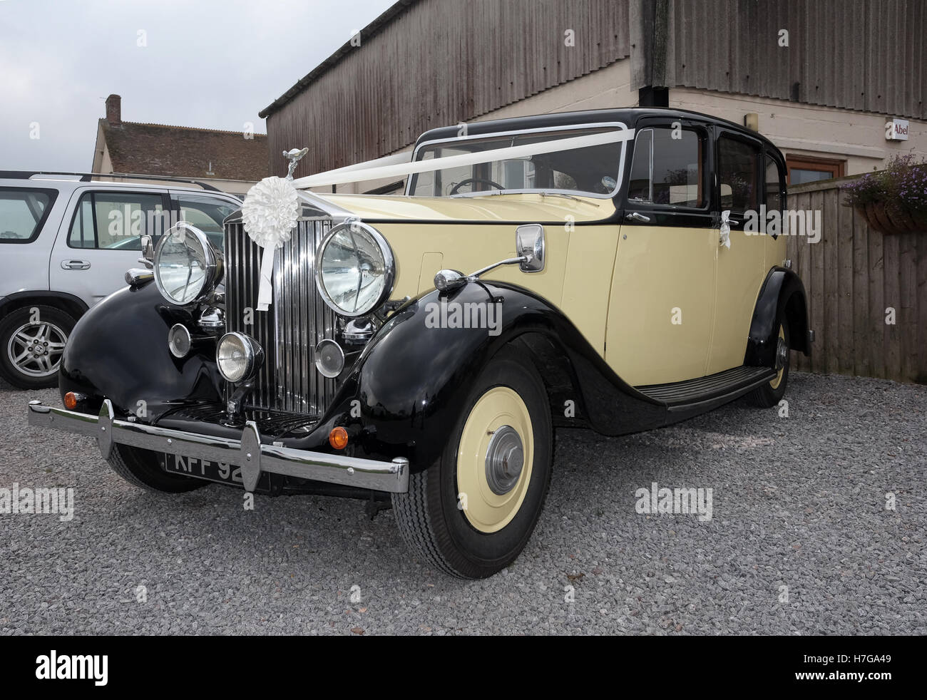26. Oktober 2016 - gelbe Rolls-Royce Hochzeit Oldtimer komplett mit Bändern auf einer Hochzeit in Somerset Stockfoto