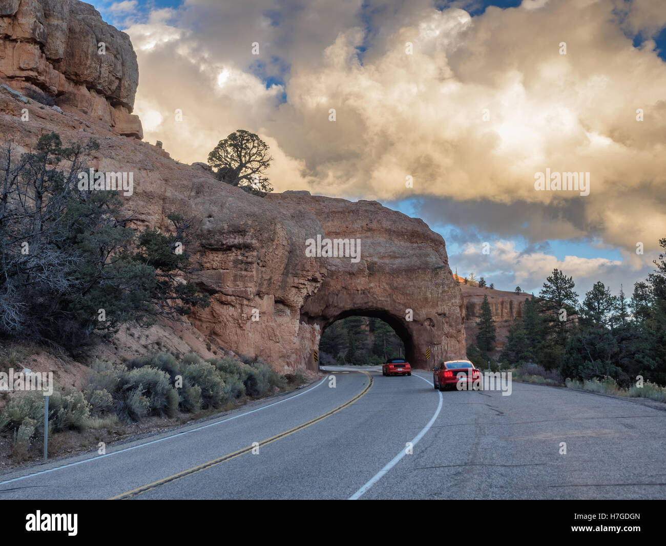 Roten Bogen Straßentunnel auf dem Weg zum Bryce-Canyon-Nationalpark, Utah, USA Stockfoto