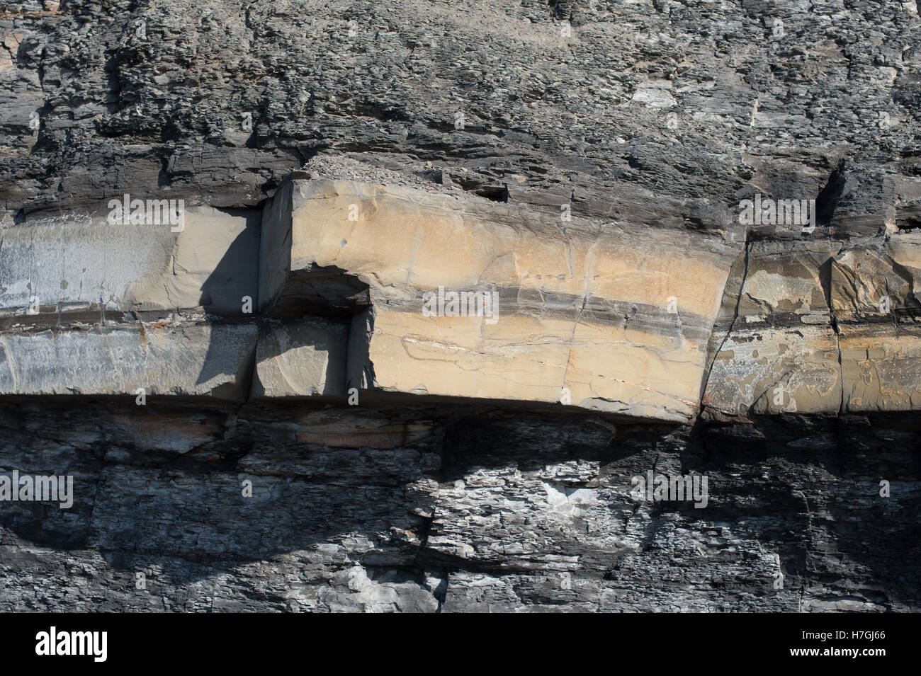 Kalksteinen Betten, Kimmeridge Bay, Dorset Stockfoto